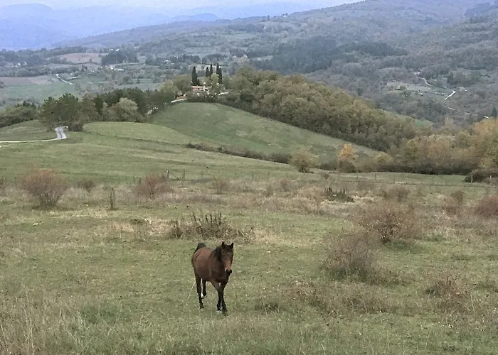 Agriturismo Mandrioli